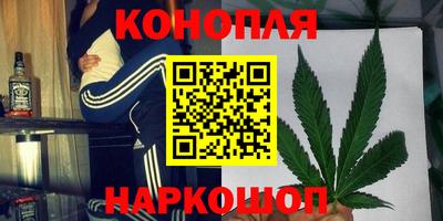 прущие крисы Вязьма