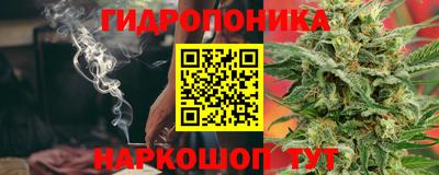 прущие крисы Вязьма