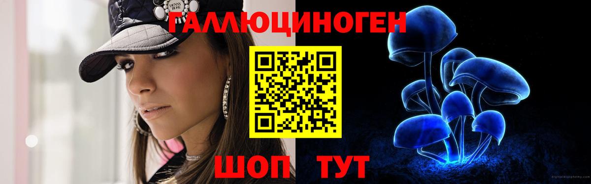 Белореченск  Псилоцибиновые грибы мицелий  Вход с VPN 